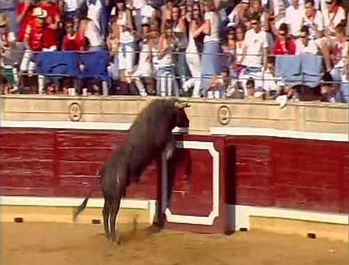 toro volador de tafalla